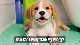 How Can I Potty Train My Puppy  DoggieTalk [upl. by Enail]