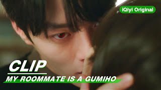 Clip What Happened With The Kiss  My Roommate is a Gumiho EP09  我的室友是九尾狐  iQiyi Original [upl. by Sayette427]