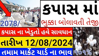 Kapas na bhav  12082024  કપાસના ભાવ2024  Information about Cotton Crop Price  Commodity Trend [upl. by Ewart]