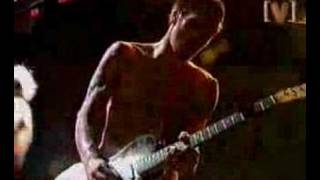 Red Hot Chili Peppers  Easily Live [upl. by Cathi278]