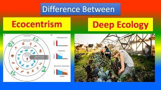 Difference Between Ecocentrism and Deep Ecology [upl. by Ikairik]