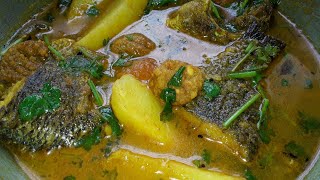 Tilapia fish curry।Telapia macher jhool aloo bori tomato diye [upl. by Noynek]