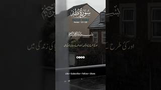 Surah Taha Ayat 131132 quran islamic shortvideo qurantranslation beautifulrecite quotes [upl. by Argyle]