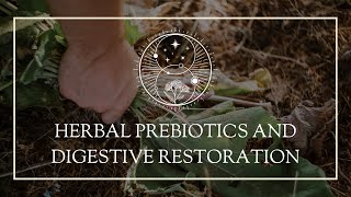 Herbal Prebiotics and Digestive Restoration [upl. by Llenahc]