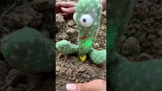 Cactus🌵me dost🥲ko kya ho gaya🥲🥹🤨shortsvideo [upl. by Nonahs75]