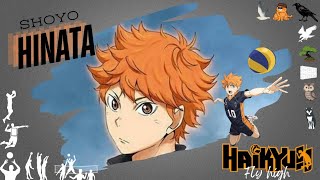 Review Hinata Shoyo  Middle Blocker From Karasuno  Haikyuu Fly high [upl. by Anett]