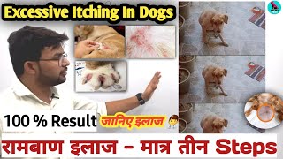 Excessive Itching In Dogs  कुत्तों में खाज  खुजली का इलाज  Pruritis In Dogs  FirstAidMedicine [upl. by Karie]