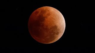 Watch live  NASA shows the blood moon from different countries all over the world [upl. by Dannon]