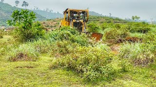 It turns out this is how the CAT D6R XL Dozer works to clean land in the jungle [upl. by Ludlow316]