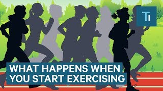 What Happens To Your Body When You Start Exercising Regularly  The Human Body [upl. by Charin]