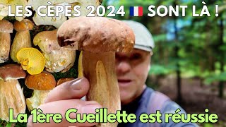 Les Cèpes 2024 sont là ➡️ 1ère cueillette réussie 🏆🍄❤️ cèpes 2024 champignon asmr nature [upl. by Elmer]