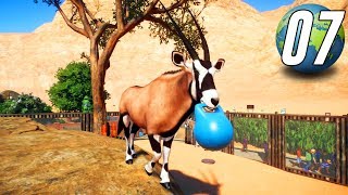 Planet Zoo Franchise  Part 7  Gemsbok [upl. by Nelan]