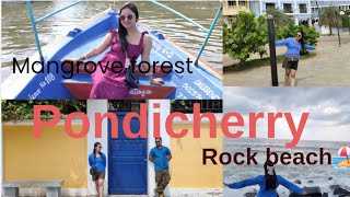 Pondicherry 🏖 Mangrove forest boating 🏞 [upl. by Adirem]