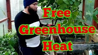 How To Heat A Greenhouse for Free  How to Use A Hotbed [upl. by Ravaj683]