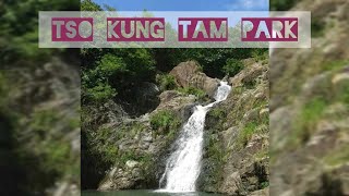 TSUEN WAN FALLS  EXITA GOING TO DPARK amp BUS STATION  WAY RIGHT SIDE viralvideo food fish [upl. by Ariait]