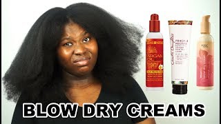 8 Hair Comparison  3 Different Blow Dry Creams  DO THEY WORK  Bubs Bee [upl. by Towland263]