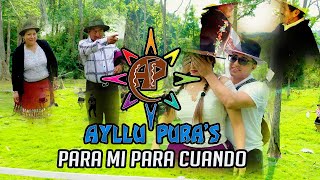 Para Mi Para Cuando  Ayllu Puras Official Music Video [upl. by Ahsienad]