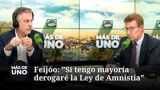 Feijóo quotSi alguna vez tengo mayoría derogaré la Ley de Amnistíaquot [upl. by Varney]