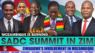 SADC leaders coming to Zimbabwe as ZANU PF quotunintentionallyquot brings chaos in the region [upl. by Enorel]