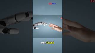 Living Robots The Future of Robotics Unveiled by Tufts University [upl. by Assert]