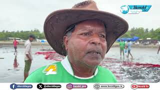 HARD WORK PAID OFF Caranzalem fishermen net bumper catch after cleaning the beach [upl. by Bryant]