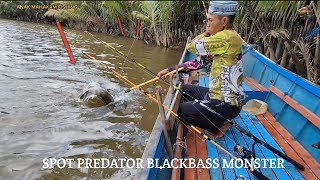 Mancing Di Spot Predator Monster Kakap Hitam di Kalimantan Umpan Udang Galah mancingkakap [upl. by Flor495]