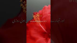 surah taha ayat 131132 TIGERE11122 islamicvideo youtubeshorts urdu video viralvideo pyf [upl. by Clare]