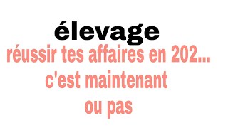 réussir tes affaires en 2021 cest fin décembre [upl. by Stryker]