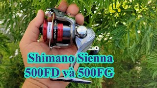 Trên tay Shimano Sienna 500FD và 500FG 2 phiên bản mới và cũ được ưu chuộng [upl. by Ahsenhoj]