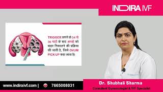 क्या होता है IVF Treatment  Test Tube Baby Process  Dr Shubhali Sharma  Indira IVF [upl. by Nomelif]