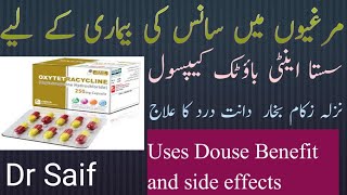 oxytetracycline capsules uses in Urdu oxytetracycline capsules benefits and side effects Dr Saif [upl. by Froemming996]