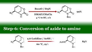 Oseltamivir Brand name TAMIFLU  Total Asymmetric Synthesis [upl. by Grantham231]