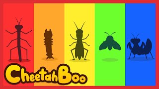 Hide bug friends❗  Fun quiz songs  for kids  Nursery rhymes  Kids song  Cheetahboo [upl. by Adorne748]