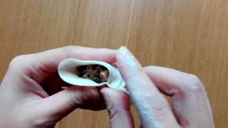 How to fold a jiaozi chinese dumpling 包餃子 [upl. by Eellah]