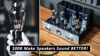 KILLER Affordable Tube Integrated Amplifier For Audiophile Home Sound Systems [upl. by Castara361]