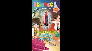 Science Experiment  Chicken Protein 🍗  P3 P4 P6 [upl. by Moishe]