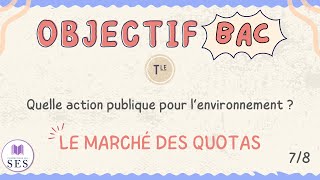 BAC Cours Environnement  Le marché des quotas [upl. by Anenahs257]