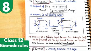 8 Disaccharides Structure of Maltose and Lactose Biomolecules class12 chemistry neet jee [upl. by Nyrtak318]