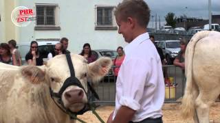 Concours charolais 2013 [upl. by Nalrah]