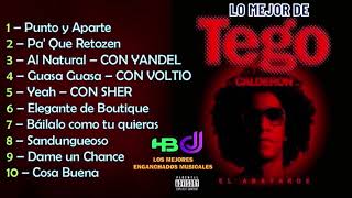 Lo Mejor de Tego Calderon Reggaeton  HBDJ [upl. by Notsua823]