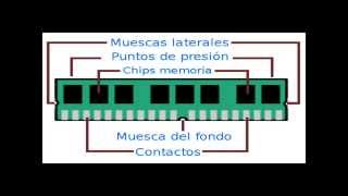 Definicion y Carateristicas De Memorias Ram DDR1 DDR2 DDR3 DRR4 [upl. by Yearwood]