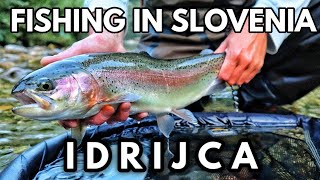 Idricja Valley Trophy HYBRID Trout  The BEST Slovenia Fly Fishing [upl. by Penland]