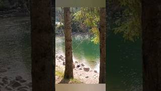 🌲✨ Vivez lenchantement du Lac des Corbeaux à La Bresse  Une aventure au cœur des Hautes Vosges 🐟🌳 [upl. by Bengt]