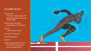 Acceleration vs Maximum Velocity Sprinting  Differences and Similarities in Movement and Technique [upl. by Jonati741]