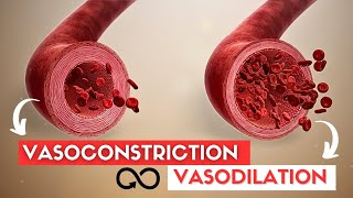 VASODILATION and VASOCONSTRICTION [upl. by Aric]