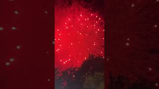 2024年西脇花火大会（兵庫県）Fireworks show [upl. by Enohpets]