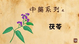 茯苓  利水渗湿药 [upl. by Can]