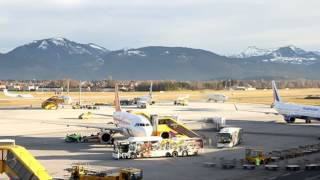 Touristenansturm auf Salzburg Airport [upl. by Luas867]