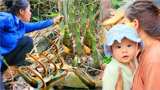 single mother  went to the forest to pick bamboo shoots met many leeches [upl. by Aronal]