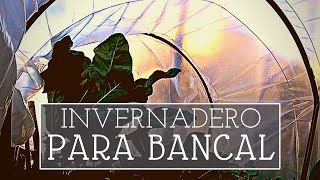 Cómo hacer un INVERNADERO casero para bancales Polytunnel [upl. by Aihtnyc]